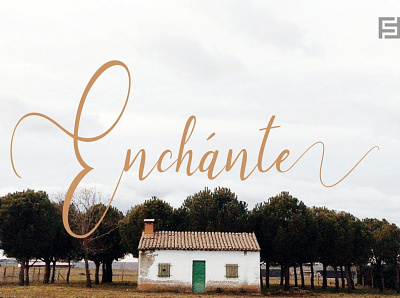 Enchante - Lovely Handwritten Font designova font font design font family fonts handmade handwriting handwritten minimal minimalist sell selling type typeface typeface design typeface designer typeface. lettering typefaces typography webfonts