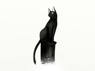 Black Cat black cat