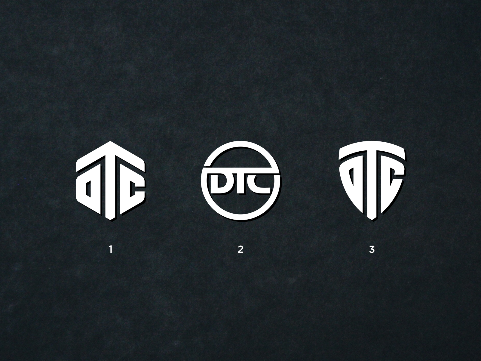 Entry #145 by pronabbiswas088 for Logo Design for DTC Profiles Ltd |  Freelancer