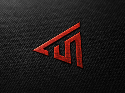 LS Triangle logo concept.