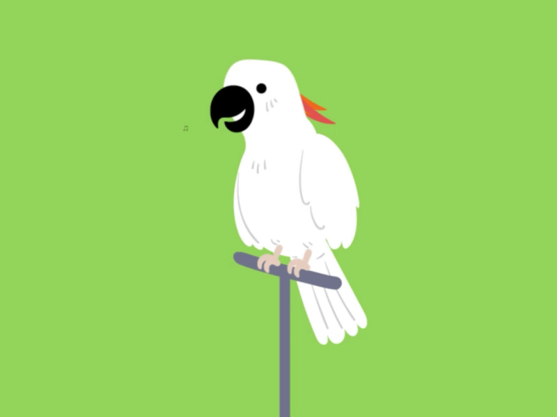 Rocker parrot animal animated animation illustration parrot vector