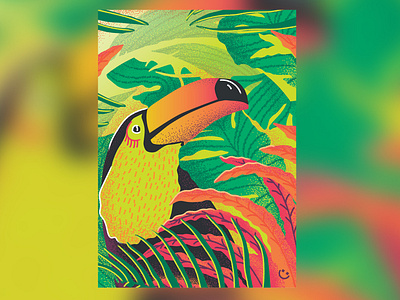 Toucan bird