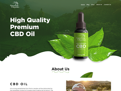 CBD Oil Landing Page branding design web