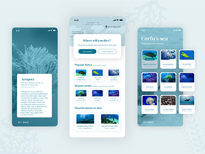 Daily UI - Diving App app app design application design diving diving app ocean app sea app ui ui app vector