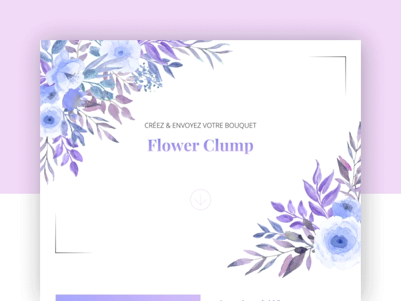 Daily UI - Flower Clump design flower shop ui website concept website design