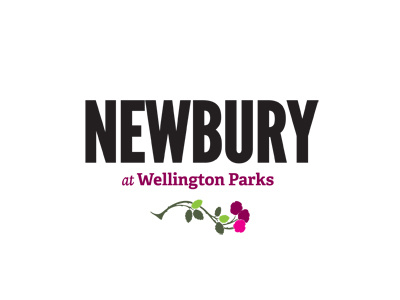 Newbury bold branding pink