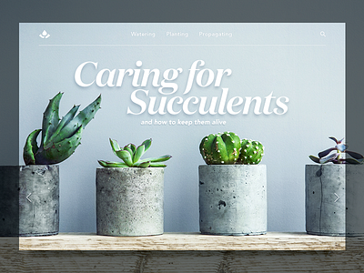 Caring for Succulents big type design interface landing page minimal succulents typography ui web