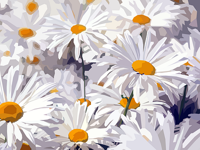 Daisies adobe illustrator dasies design flat design flowers illustration vector vector art vector illustration