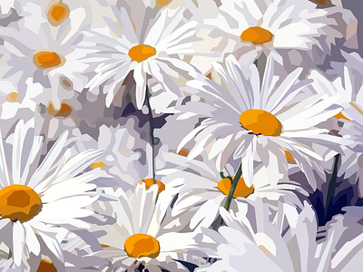 Daisies