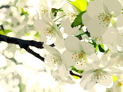 White Flowers adobe illustrator design flat design flowers illustration vector vector art vector illustration