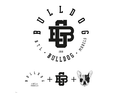 Identidad Gráfica Agencia Bulldog branding diseño identidade de marca ilustración logo marca vector