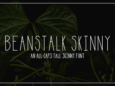 Beanstalk Skinny Font font hand lettered ipad monoline serif skinny tall typogaphy