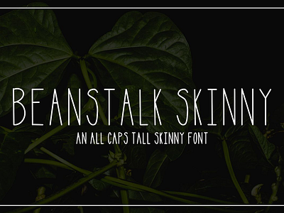 Beanstalk Skinny Font