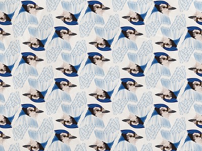 Blue Jay Wallpaper design illustration illustrator vector