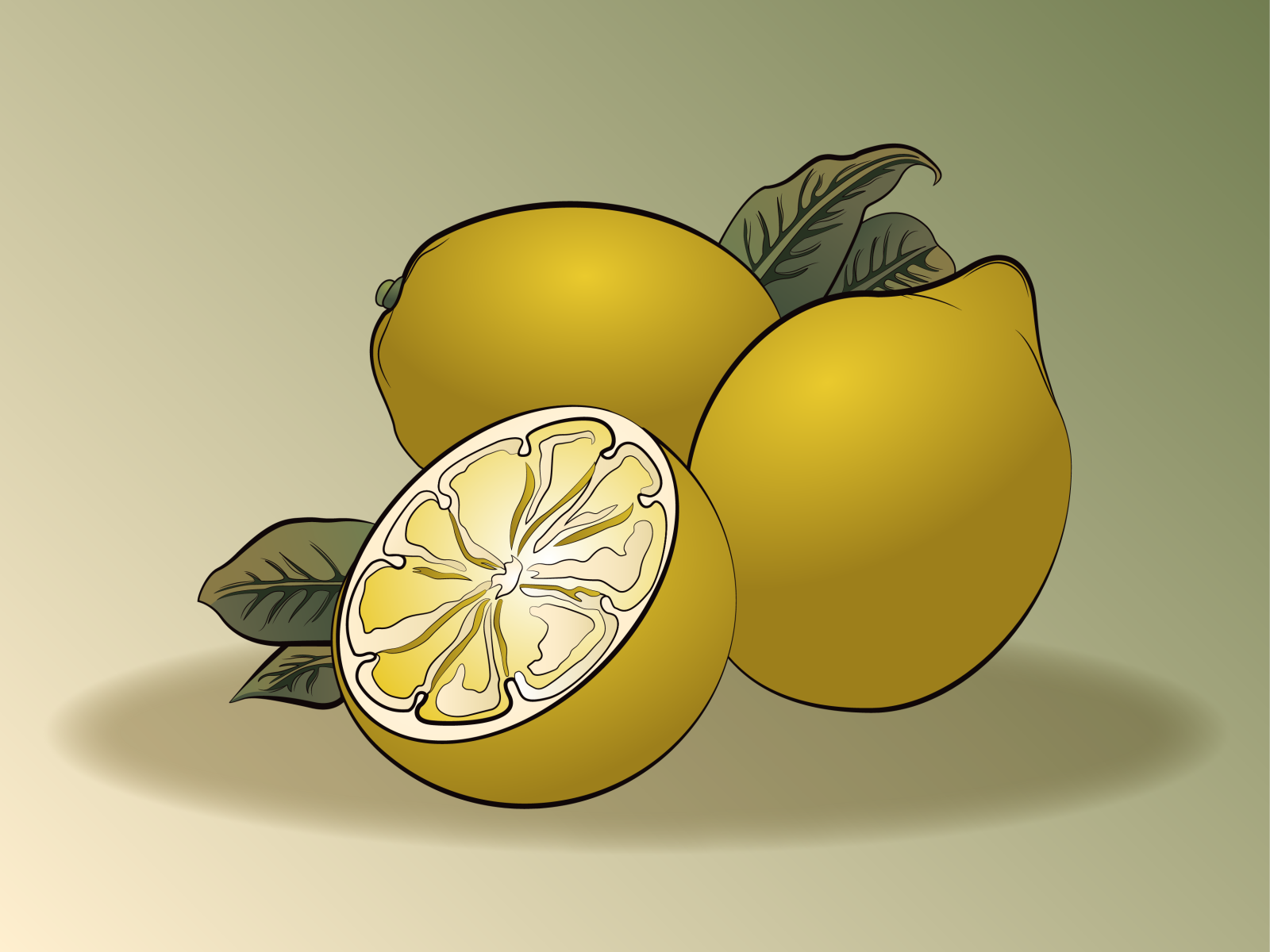 Lemon - Art Nouveau by Rachael Hollis on Dribbble