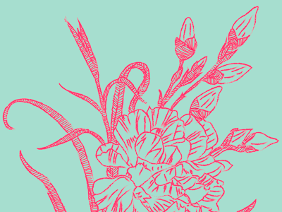 Weekly Flower Project #3 digital illustration illustration vector