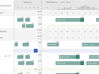 Personnel Deployment Planning design ui user experience user interface ux visual design web