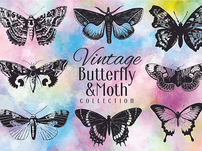40 Vintage butterfly and moth vector collection antique art bug bundle business butterfly collection design fly flying graphic design illustration insect moth pattern retro vector vector art vector artwork vintage