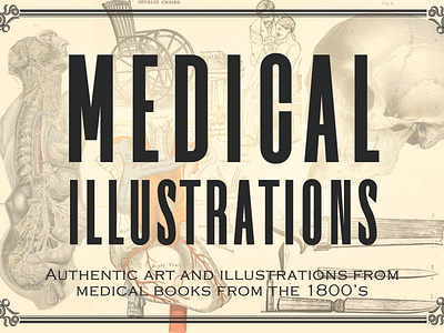 free download vintage medical illustrations