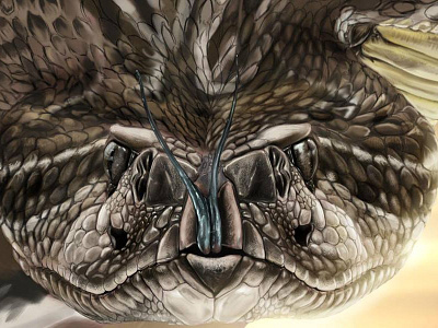 Rattlesnake Progress art branding digital graphic painting photoshop snake