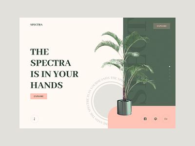 Spectra - Experimenting New Style branding concept design earth eco exotic green logo modern plant plants