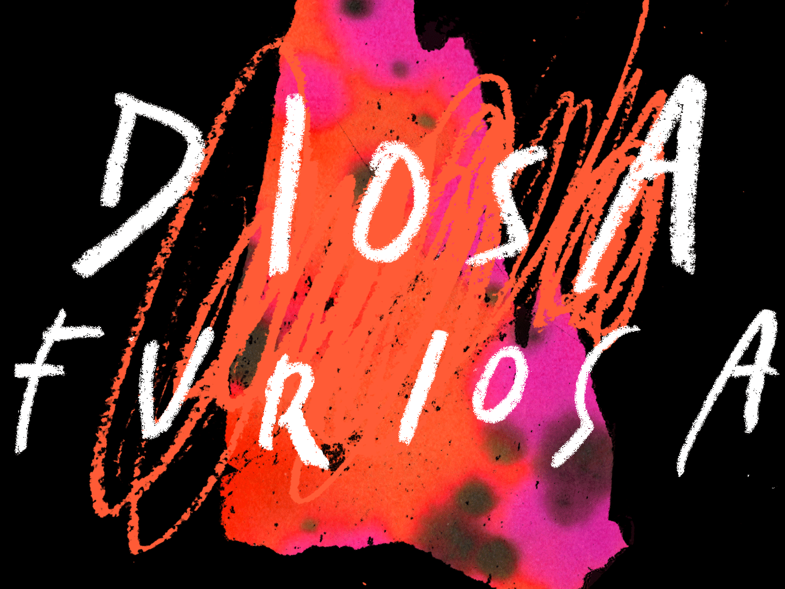 Diosa Furiosa color design diosa fire gif lettering logo playlist texture typography