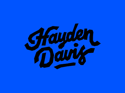 Hayden Davis Logo Concept 2 design lettering logo stamp type typography vector