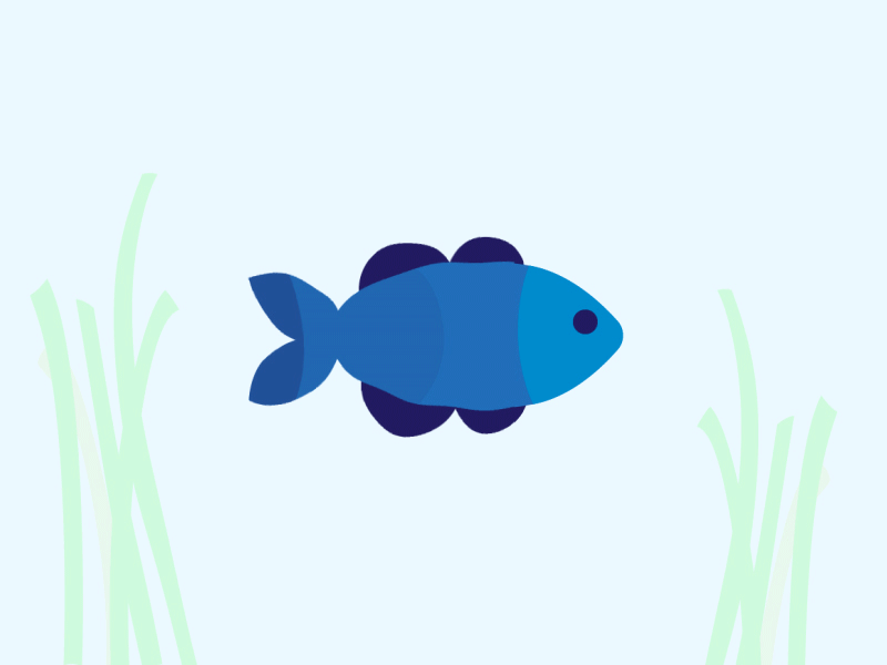 Nemo's friend animation fish illustrator tutorial fish logo flat design graphic design illustration illustrator illustrator tutorial