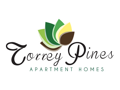 Torrey Pines Apartment Homes brand identity branding corporate identity graphic design logo logo design typography