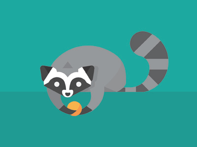 Racoon 02