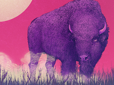 Bison animals bison illustration photoshop