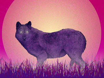 Moonlight animals illustration photoshop wolf