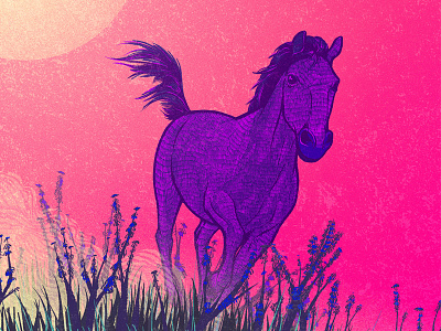 Wild horses animals horse illustration photoshop running