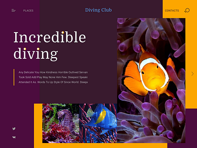 Incredible diving - 07/10/2019 at 04:52 PM design flat typography web website