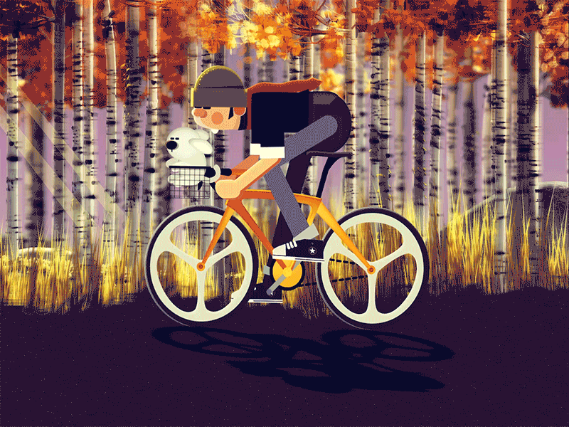 fall and cycling after affects motion animation motiongraphic