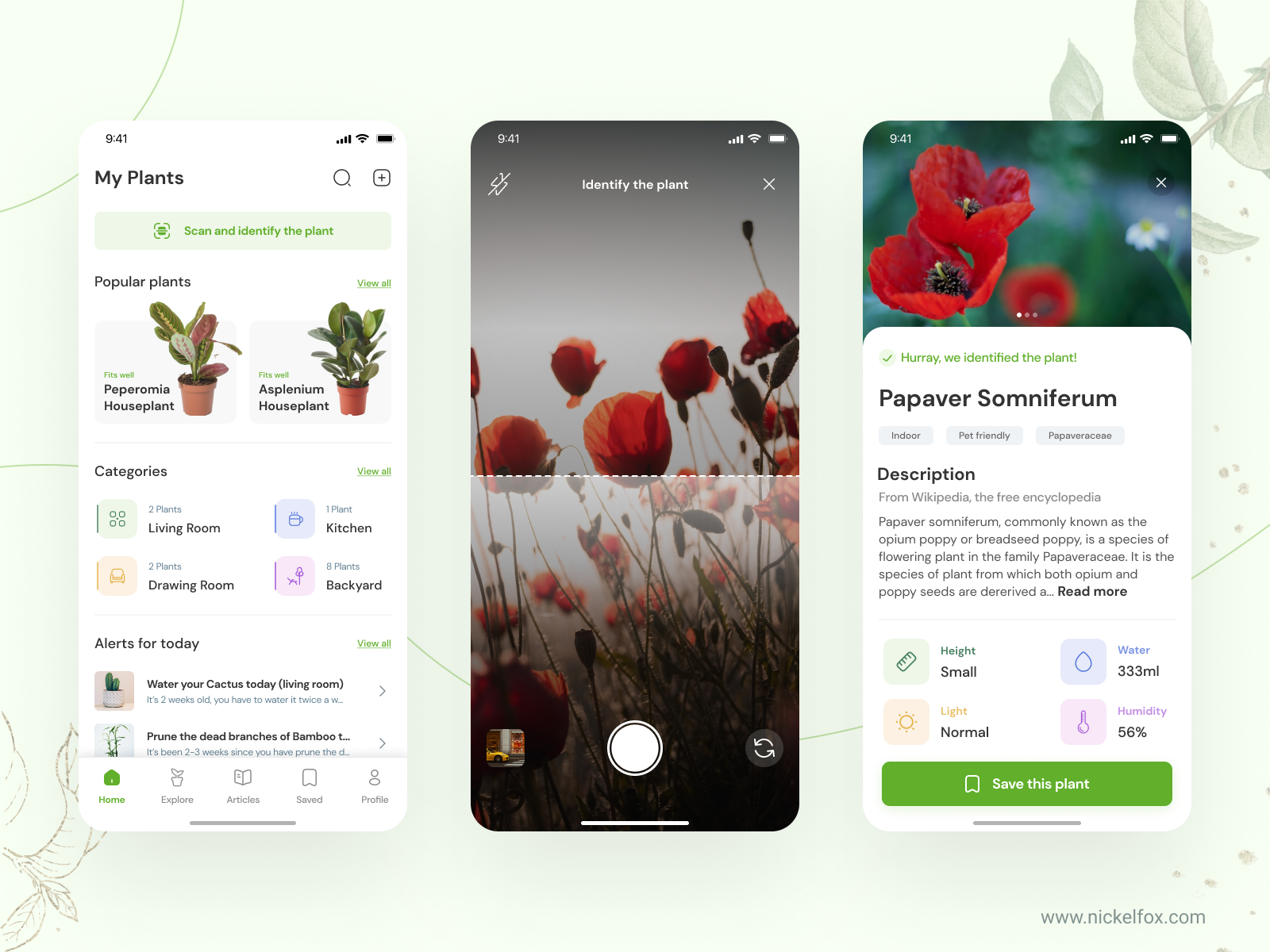 Plant Care App by Anima Agrawal for Nickelfox - UI/UX Design on Dribbble