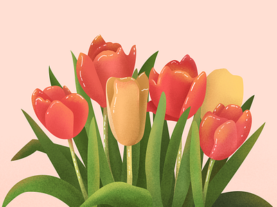 Tulip design illustration