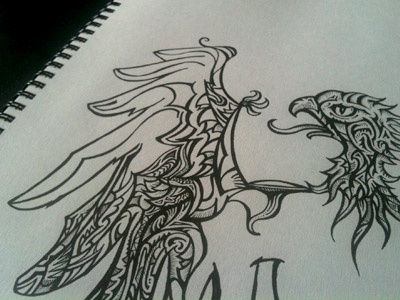 Eagle doodle Process doodle eagle illustration ink sketch