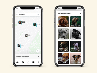 Pet Care App | UI Screens 2