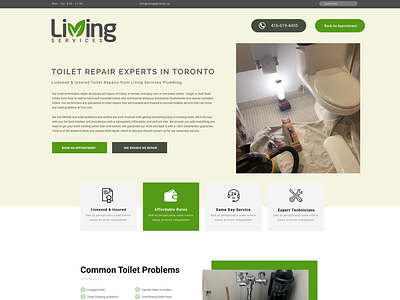 Toilet Repair Landing page