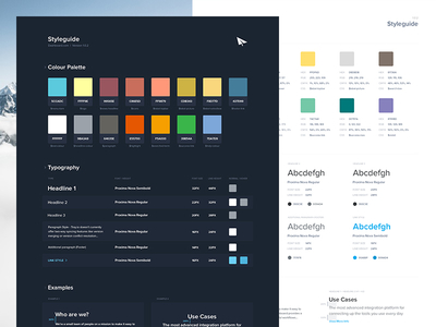 Styleguides apps dark dashboard graph manager photography profile styleguide table ui ui kit web