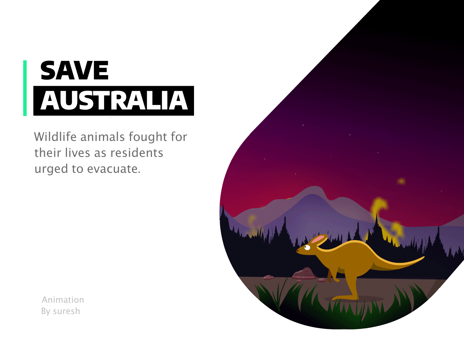 Save Australia 2d animation animal animals animation art australia flash illustration kangaroo peace photoshop save wildlife