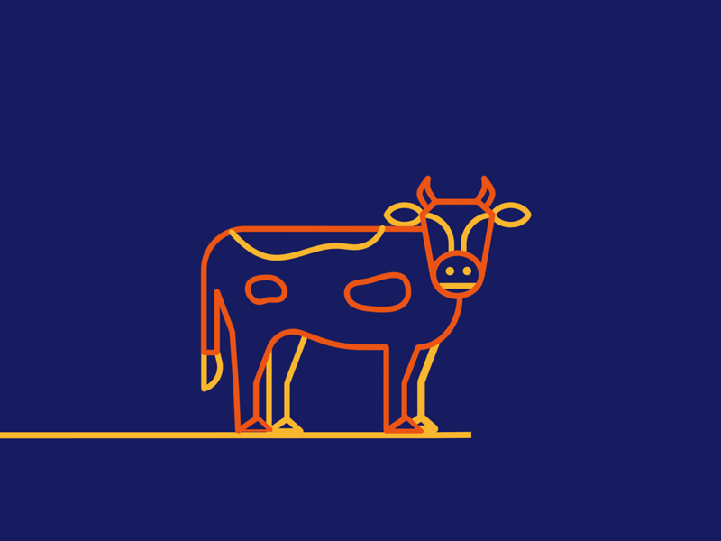 Cow Walking Animation animation design animation gif animations illustration