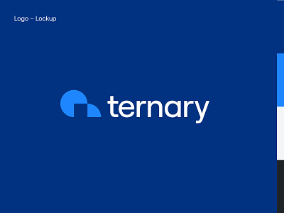 Ternary - Visual Identity aeonik brand branding cloud financial finops scribbles tool