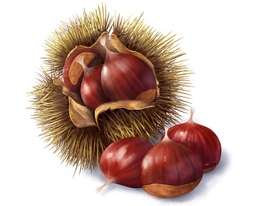 CHESTNUT