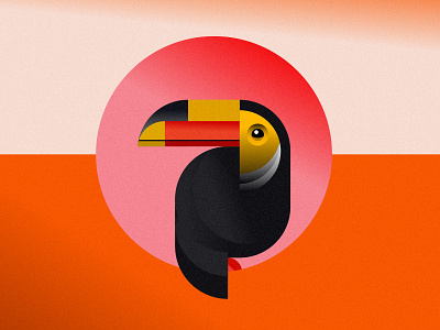 Toucan Vector Illustration