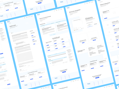 Wireframe Layouts