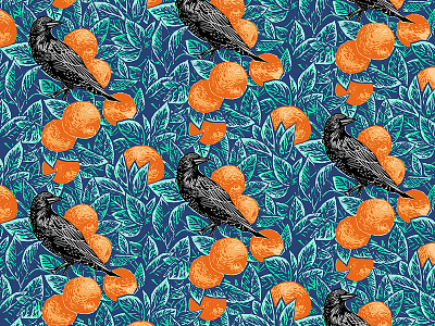 Starling & Orange