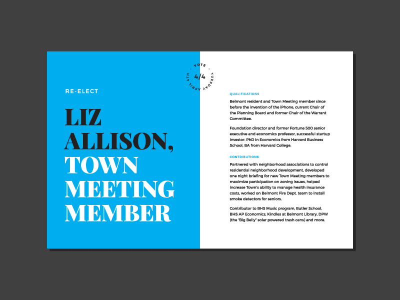 Liz 2017 ad bold colorful direct mail flyer political postcard print typography