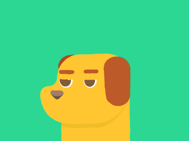 (Dorg) animal animation design dog flat gif pet
